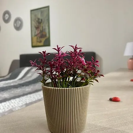 Cozy Ladybug, דירה סראייבו