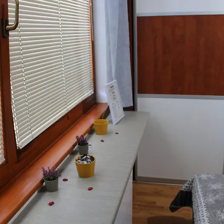 Cozy Ladybug,